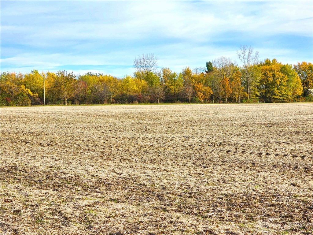 Tract 3 W Jackson Road, Springfield, Ohio image 5