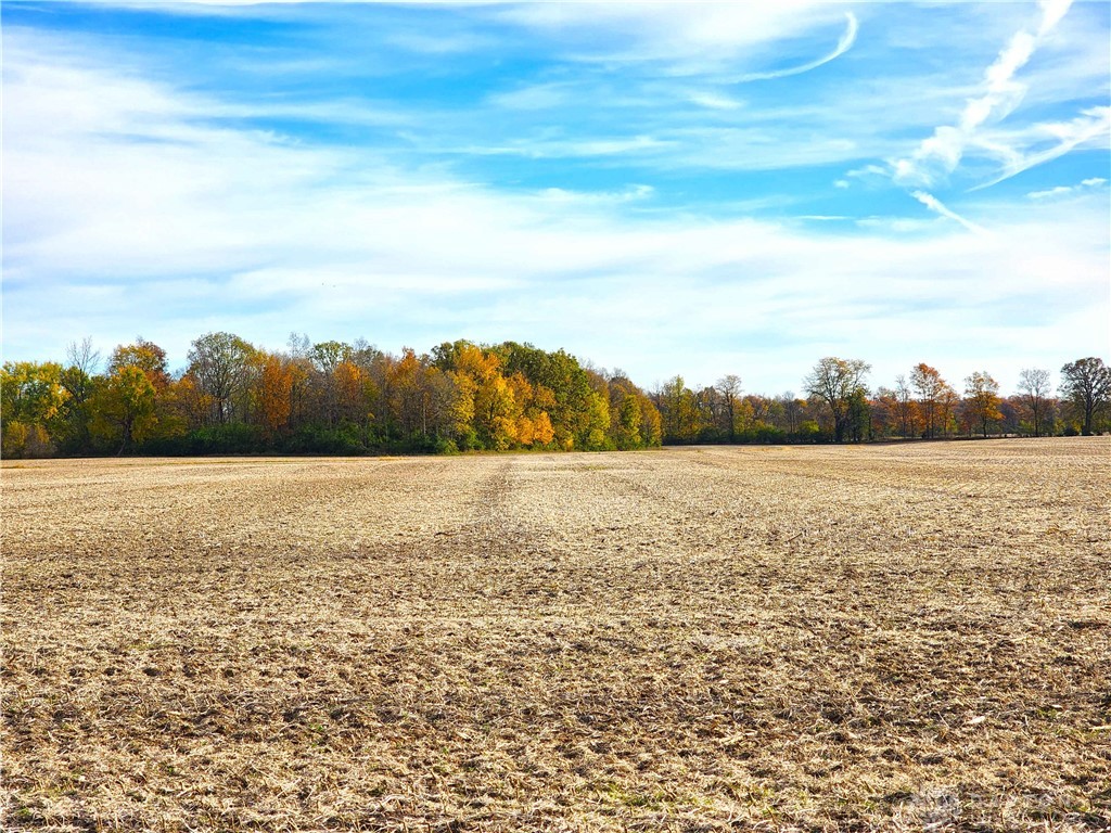 Tract 3 W Jackson Road, Springfield, Ohio image 4