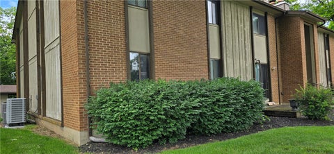 Photo for 5109 Belle Isle Drive