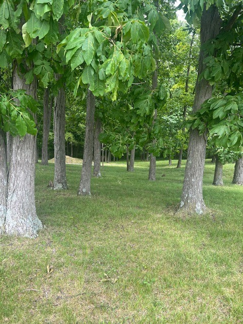 E Spring Valley Paintersville Road, Xenia, Ohio image 7