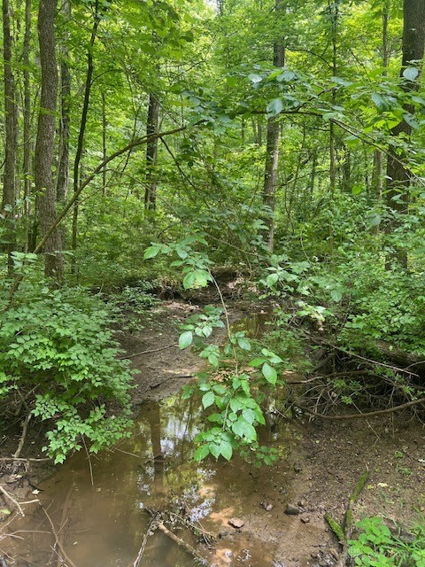 E Spring Valley Paintersville Road, Xenia, Ohio image 12