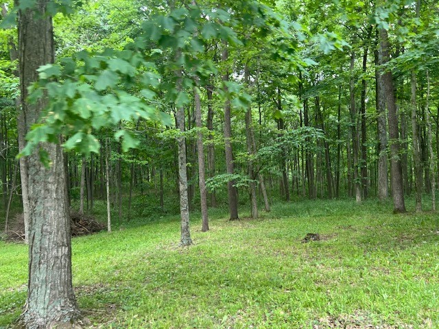 E Spring Valley Paintersville Road, Xenia, Ohio image 11