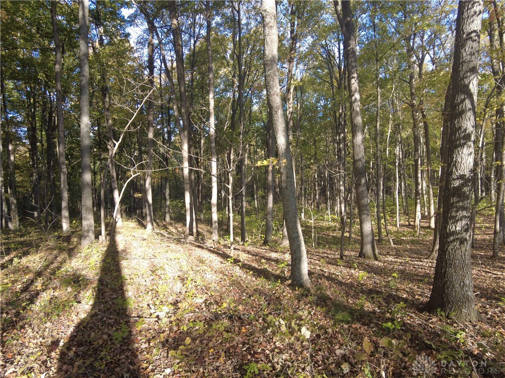 10 Ac Wilma Lane, Manchester, Ohio image 17