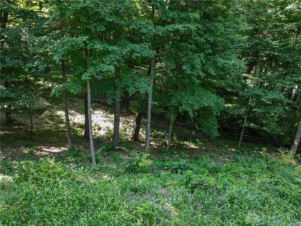 Deep Hollow Road, Oakwood, Ohio image 3