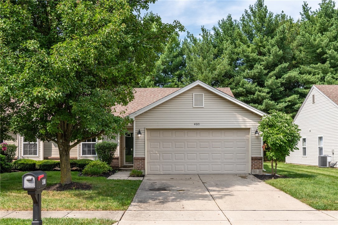 4071 Vitek Drive