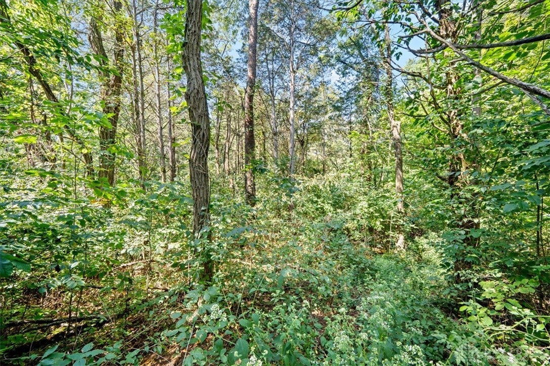 1061 Richardson Road