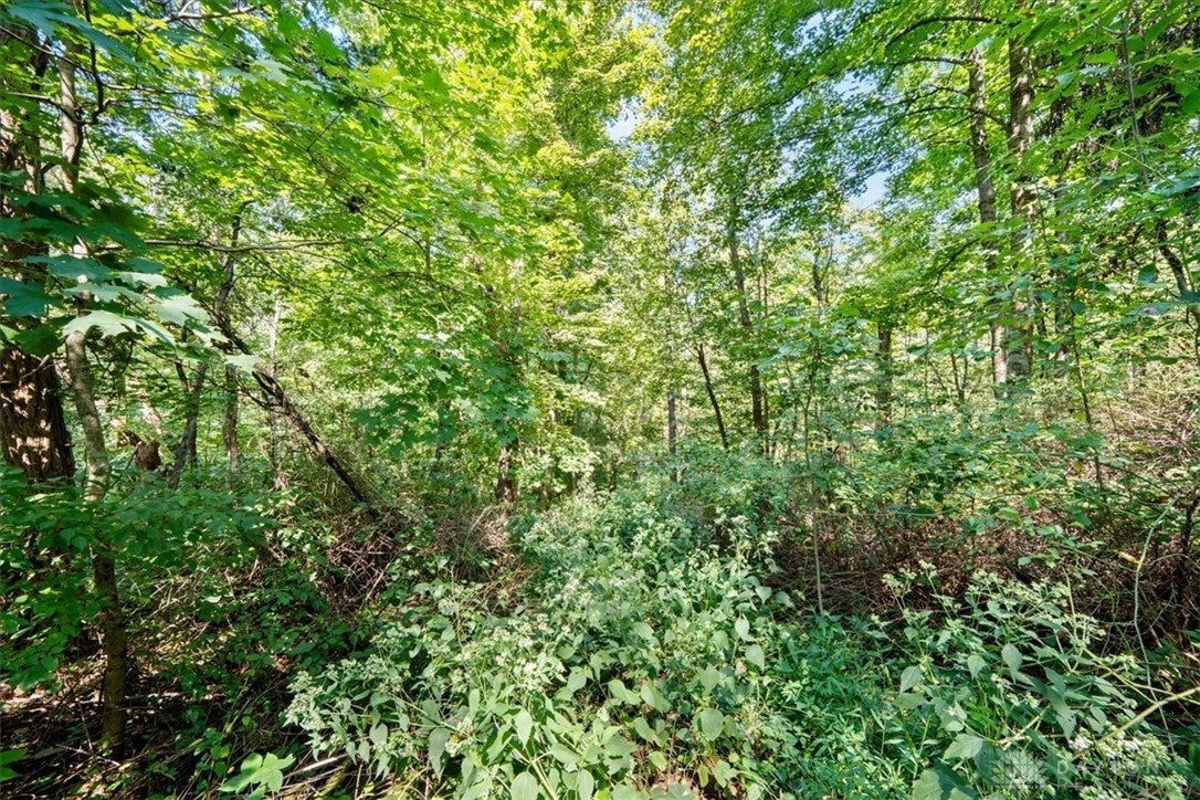 1061 Richardson Road