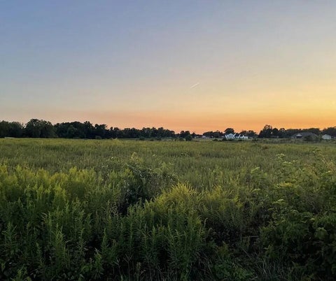 Vacant Land For Sale - 3939 Shrine Road<br/> Springfield, OH 45502