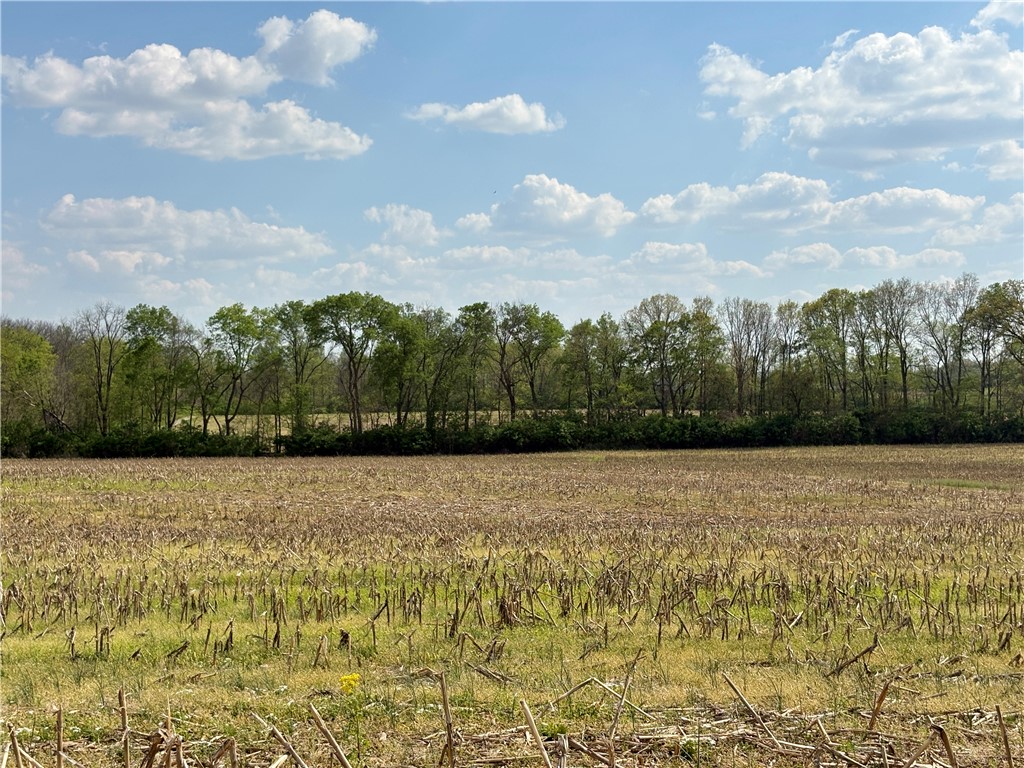Lot 5 Tipp Elizabeth Road