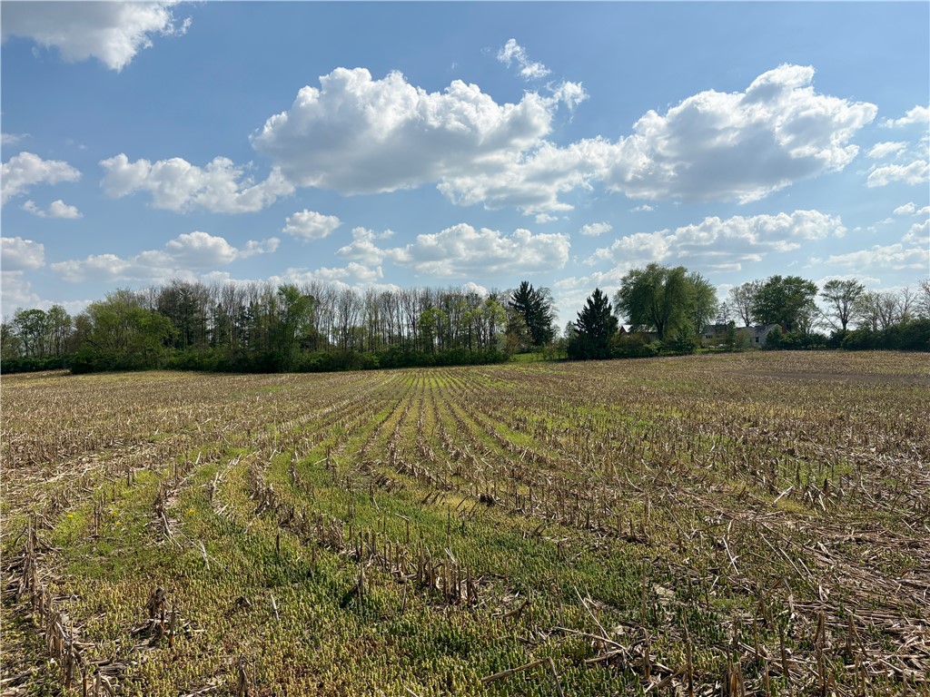 Lot 7 Tipp Elizabeth Road