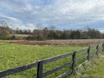 Collins Riley Road, Blanchester, Ohio image 4