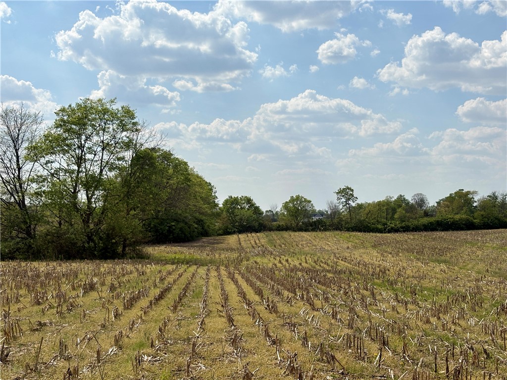 Lot 3 Tipp Elizabeth Road