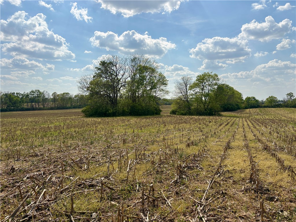 Lot 3 Tipp Elizabeth Road