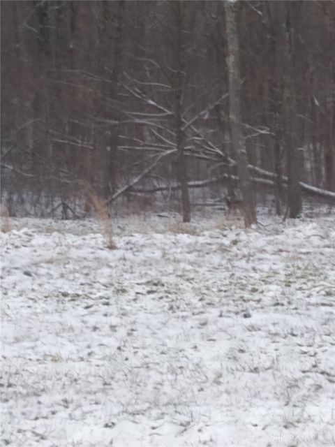 Photo of 61000 Bolar Road, Mcarthur, OH 45342 (MLS # 953199)