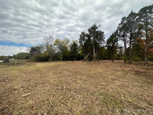 Lot 96 E White Cedar Way, Springboro, Ohio image 6