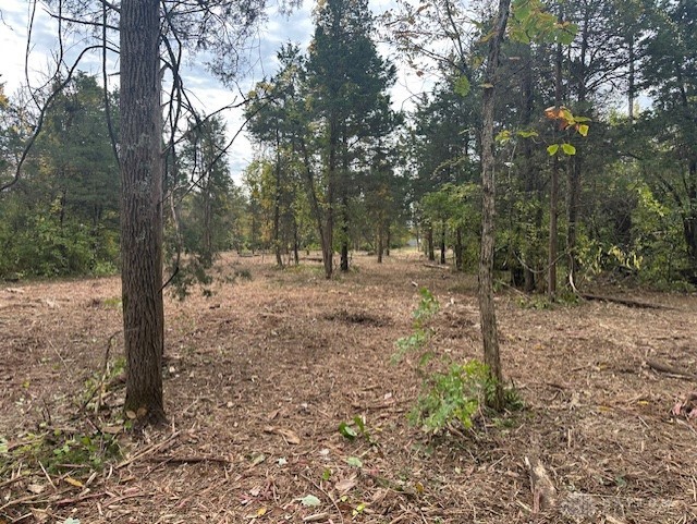 Lot 96 E White Cedar Way, Springboro, Ohio image 4