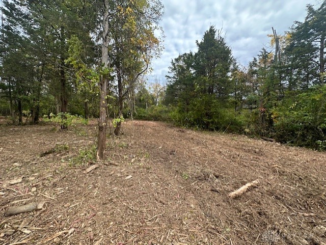 Lot 96 E White Cedar Way, Springboro, Ohio image 2