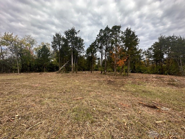 Lot 96 E White Cedar Way, Springboro, Ohio image 7