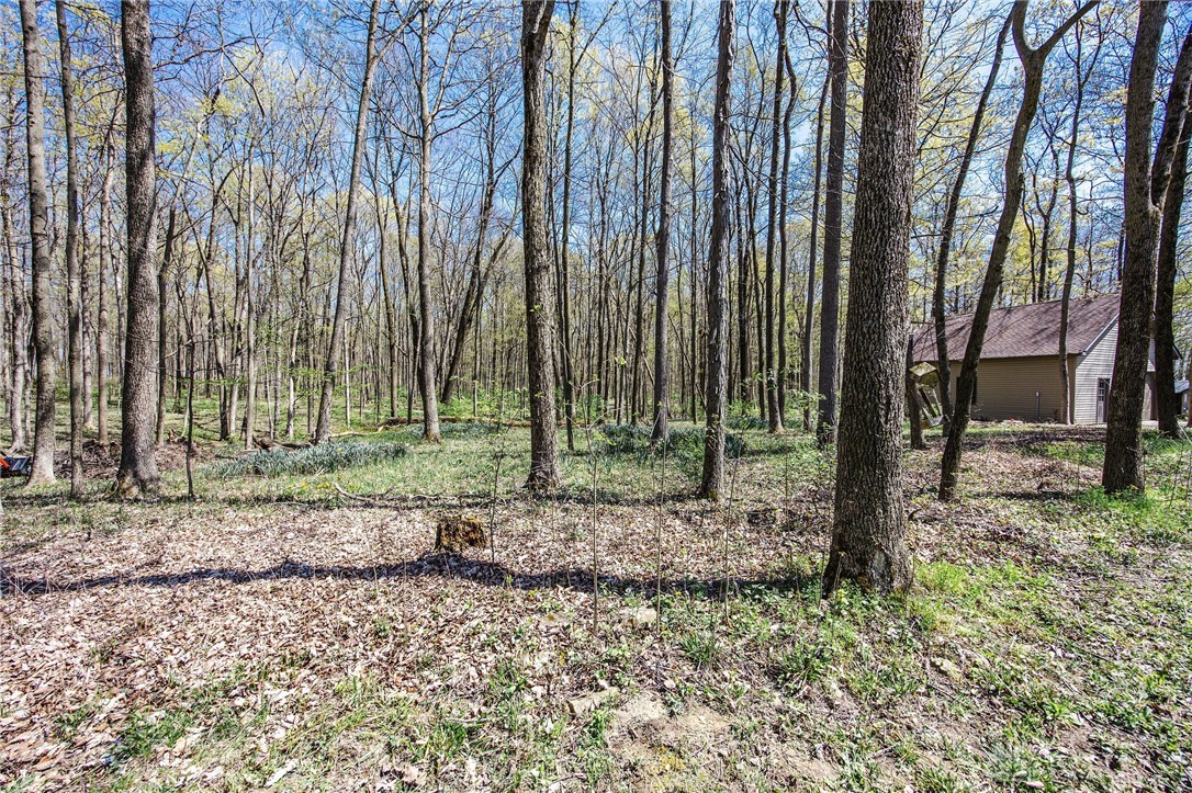 225 Country Road, Urbana, Ohio image 30