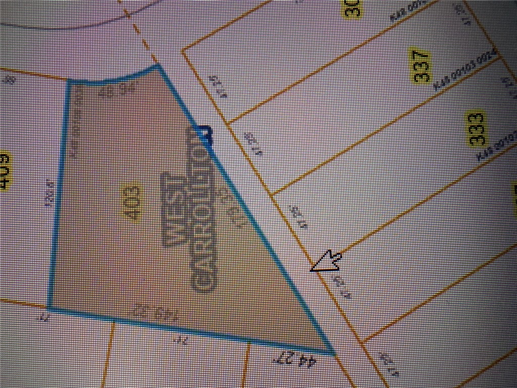 403 Cedar Street