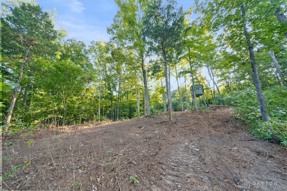 113 ac Waggoner Riffle Road
