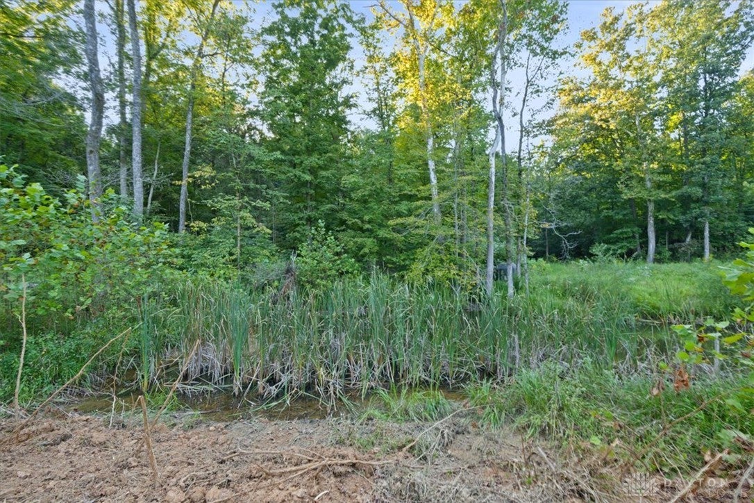 113 ac Waggoner Riffle Road