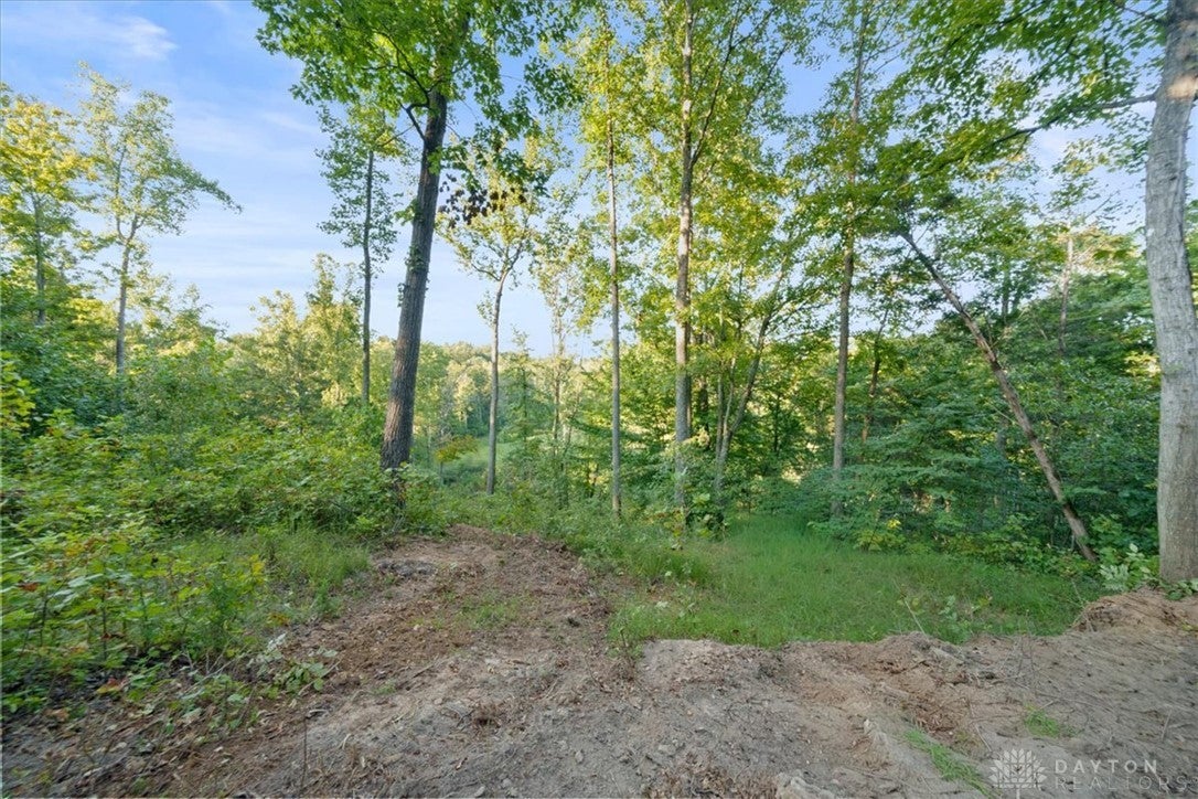 113 ac Waggoner Riffle Road