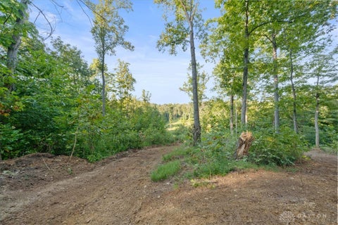 Vacant Land For Sale - 113 AC Waggoner Riffle Road<br/> West Union, OH 45693