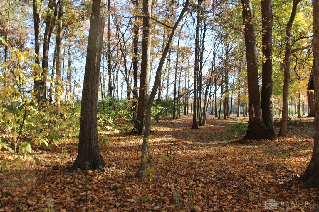 Land, Clarksville, Ohio image 4