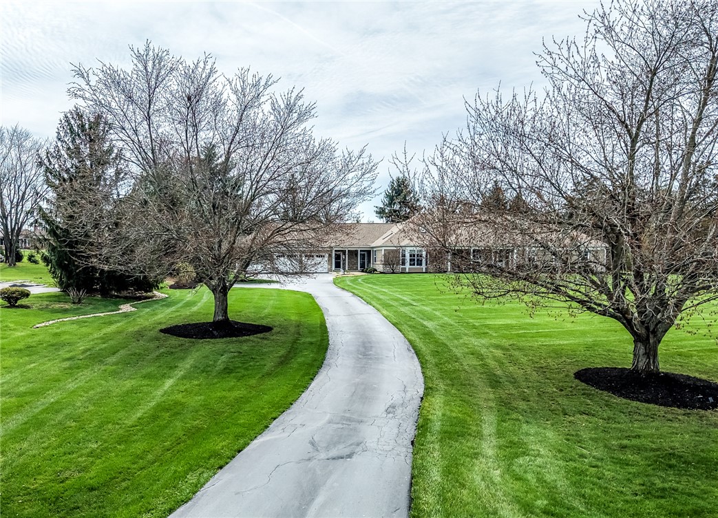 117 Hickory Lane
