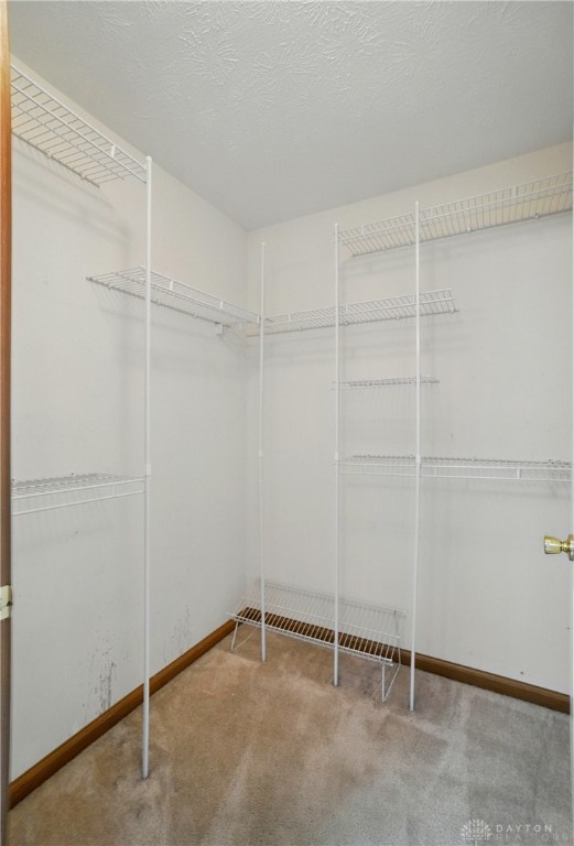 810 Brendle Trace, Springfield, Ohio image 22
