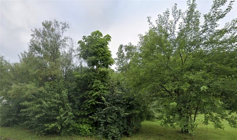 Vacant Land For Sale - 137 Chain Avenue<br/> Montgomery County, Dayton, OH 45417