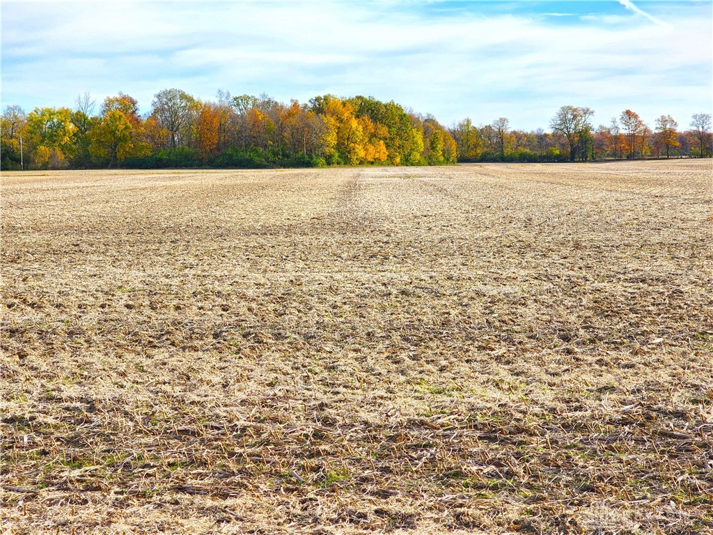 Tract 1 W Jackson Road, Springfield, Ohio image 3