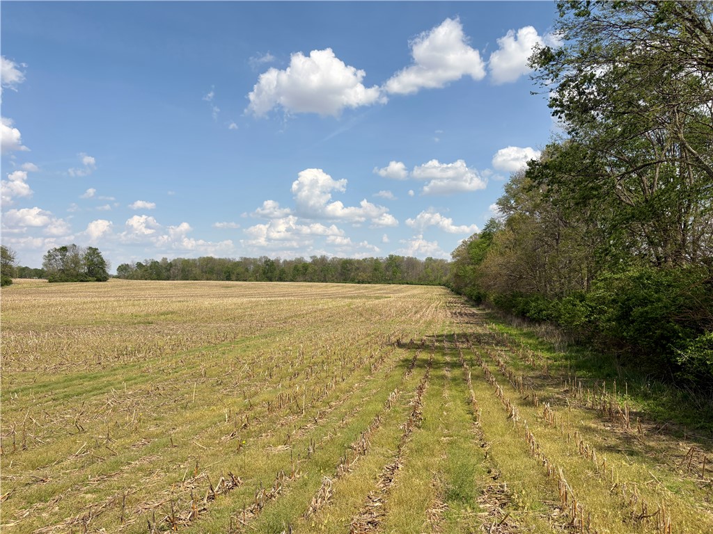 Lot 6 Tipp Elizabeth Road