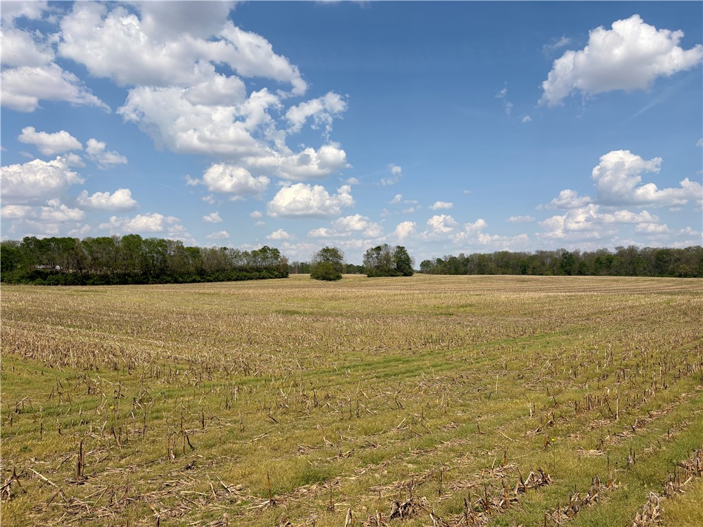 Lot 6 Tipp Elizabeth Road