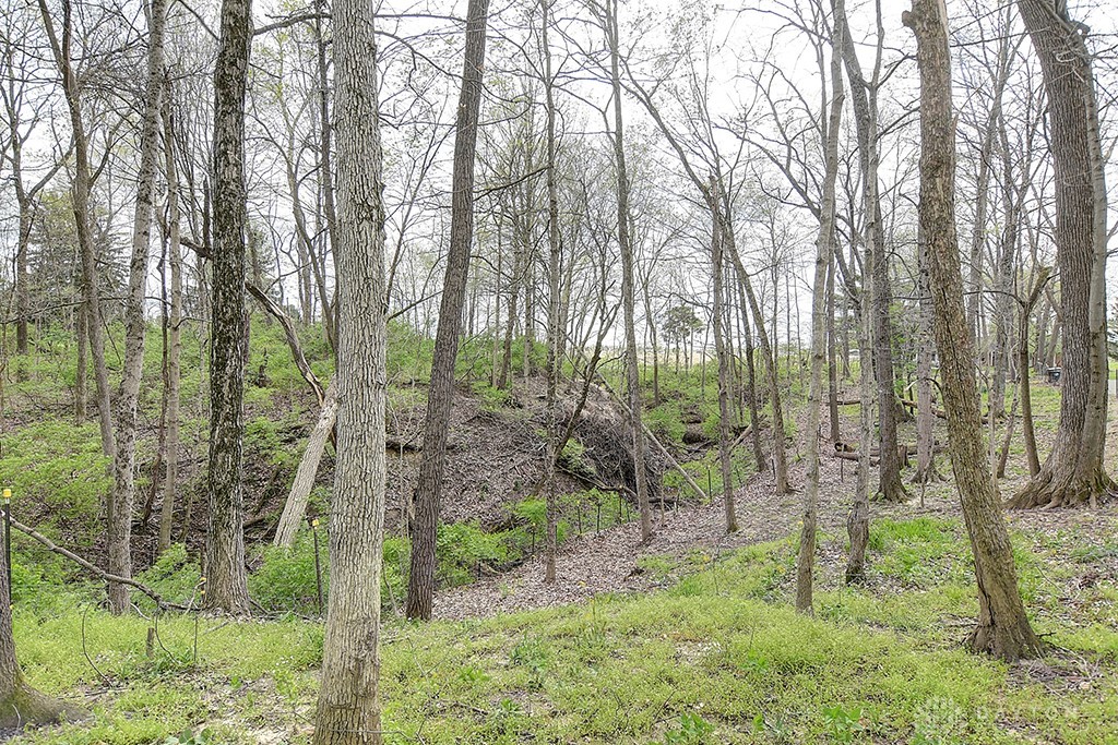7780 Conservancy Road, Germantown, Ohio image 38