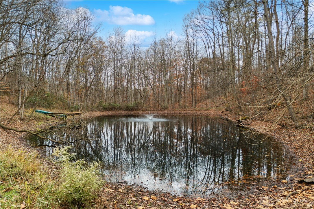 4370 Carmel Road, Hillsboro, Ohio image 9