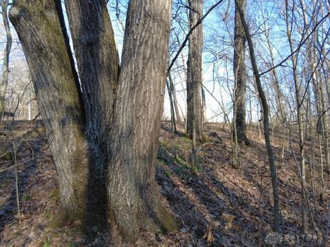 Photo of 1459 State Route 73, Peebles, OH 45660 (MLS # 953222)