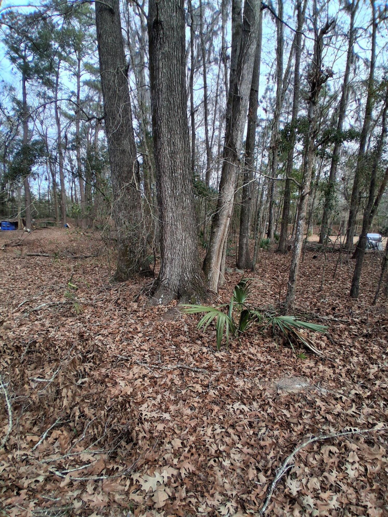 0 Crumley Road Lot 47 And 47a