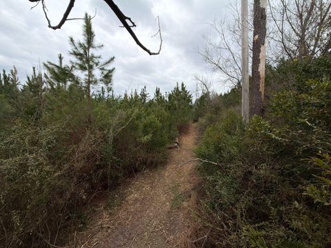 Bff Ii 4 J C Barefoot Road Patrick SC 29584