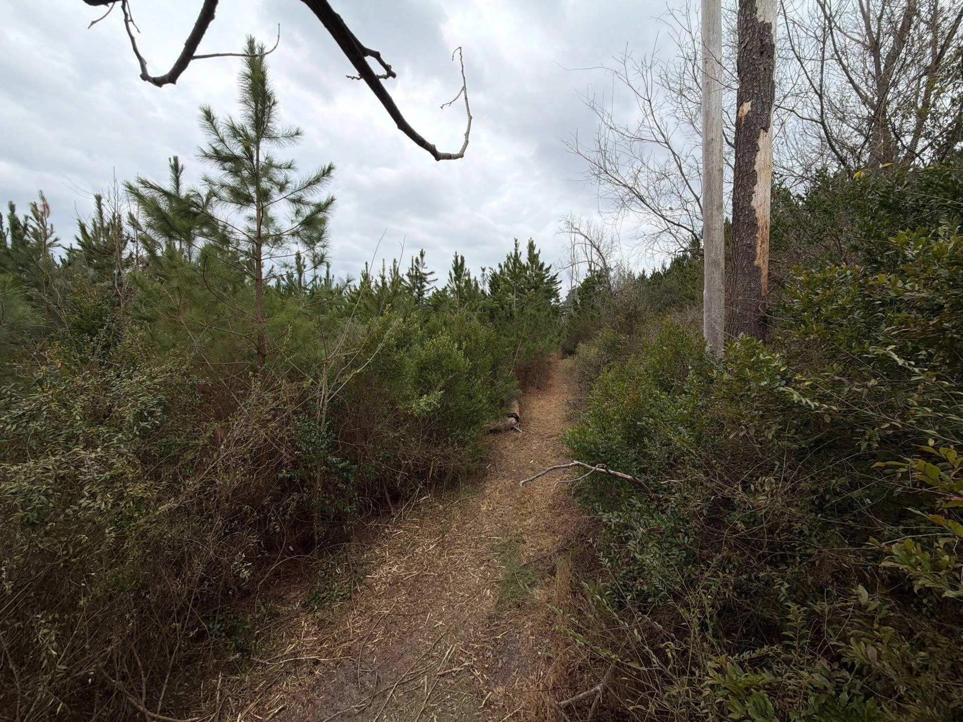 Bff Ii 4 J C Barefoot Road, Patrick, SC, 29584