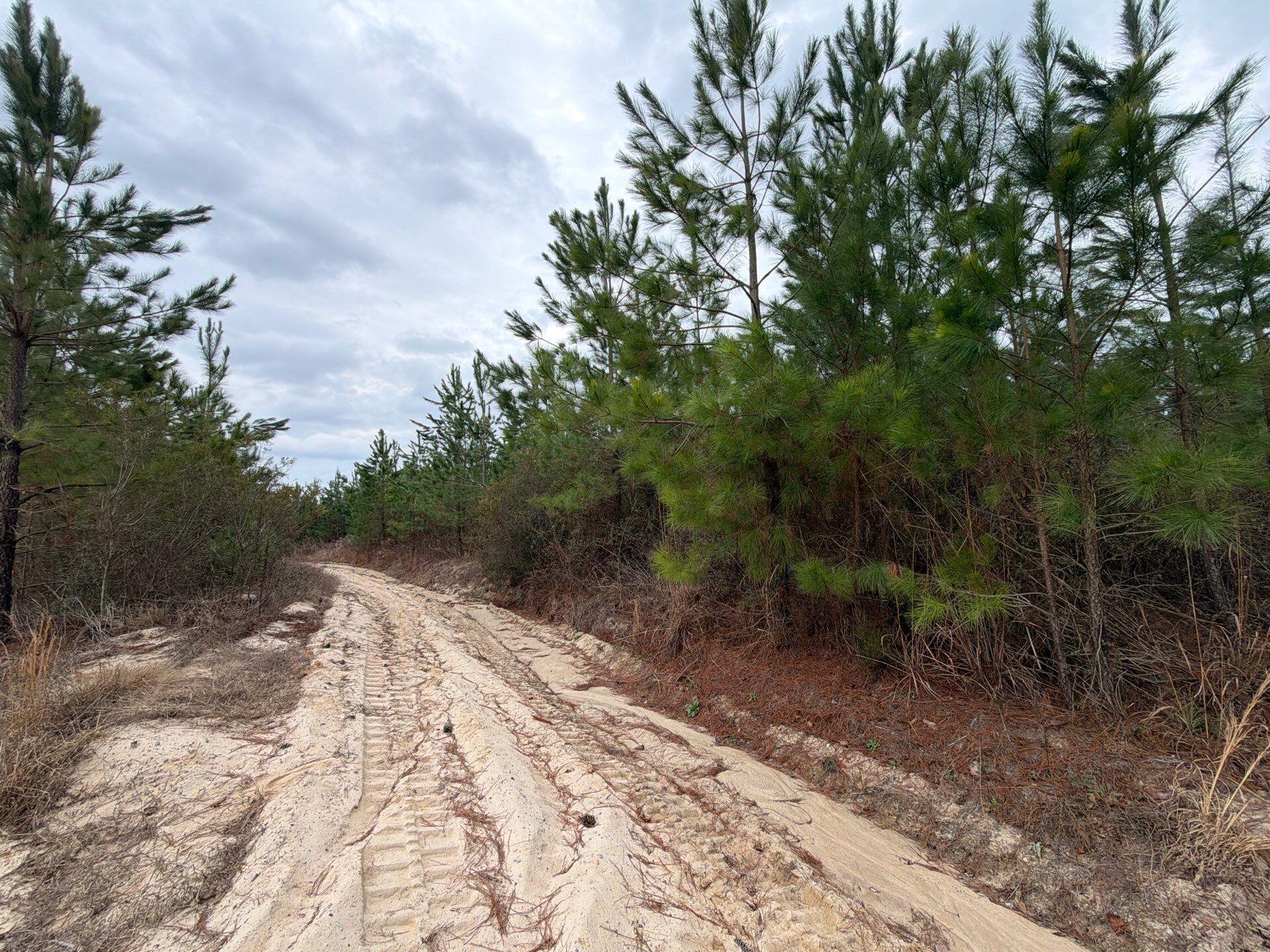 Bff Ii 4 J C Barefoot Road