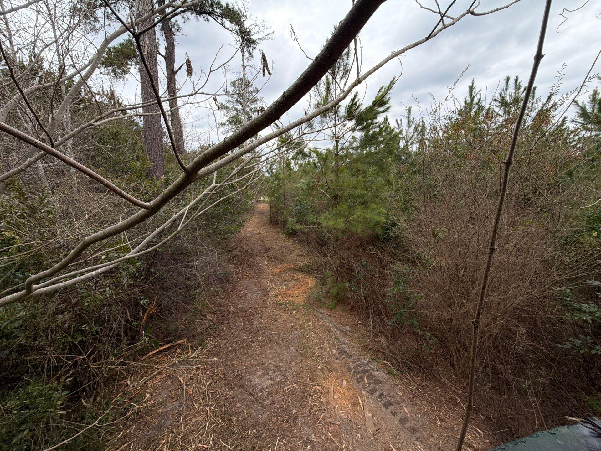 Bff Ii 4 J C Barefoot Road