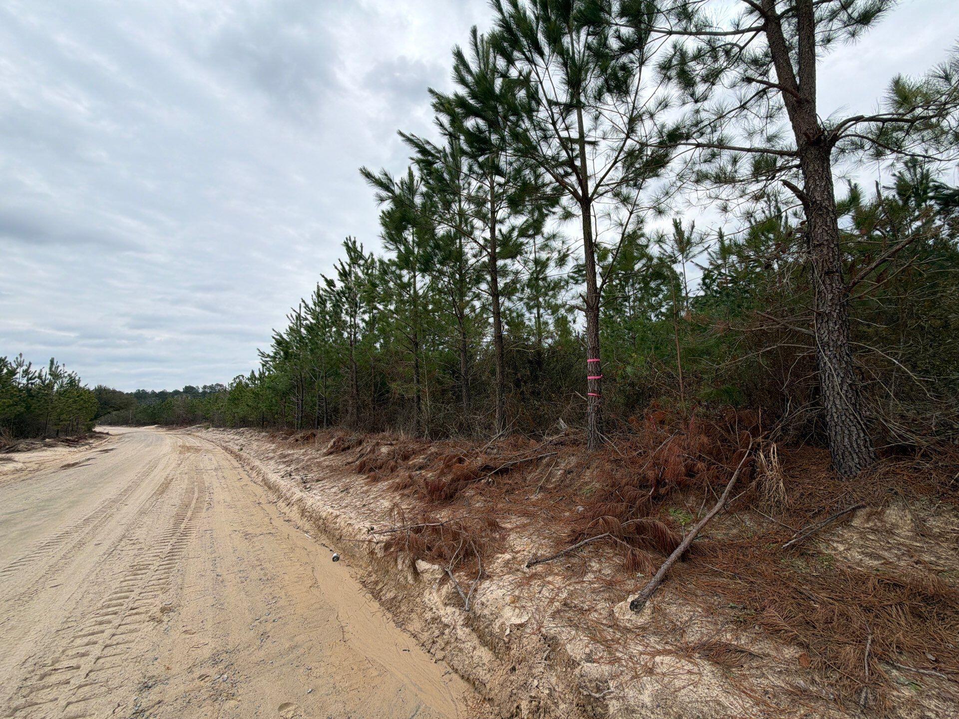 Bff Ii 4 J C Barefoot Road