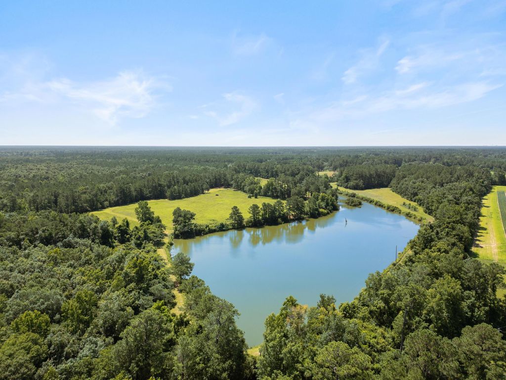 Photo of 1068 Witherbee Road, Moncks Corner, SC 29461 (MLS # 25018391)