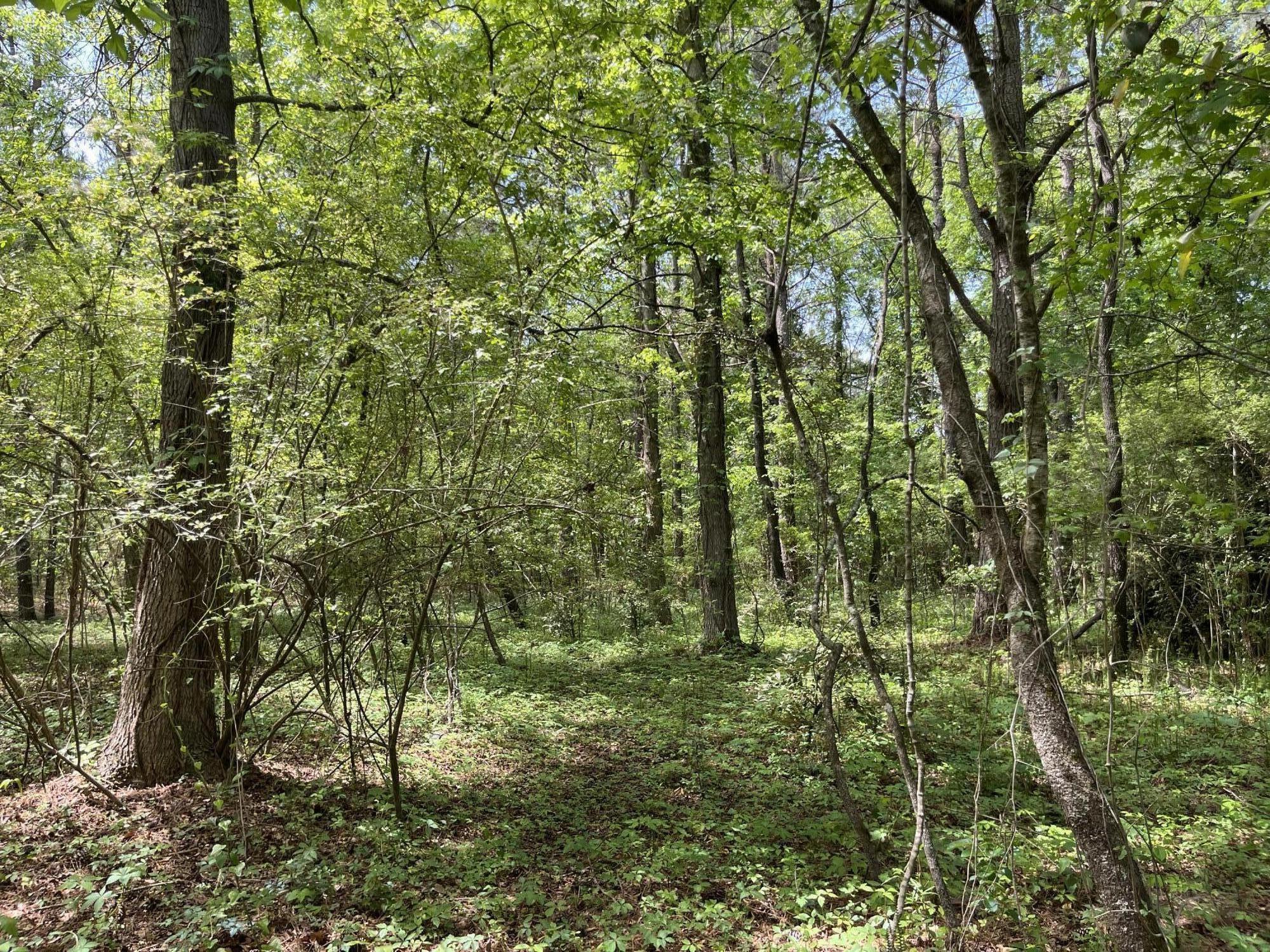 00 S Michelle Street