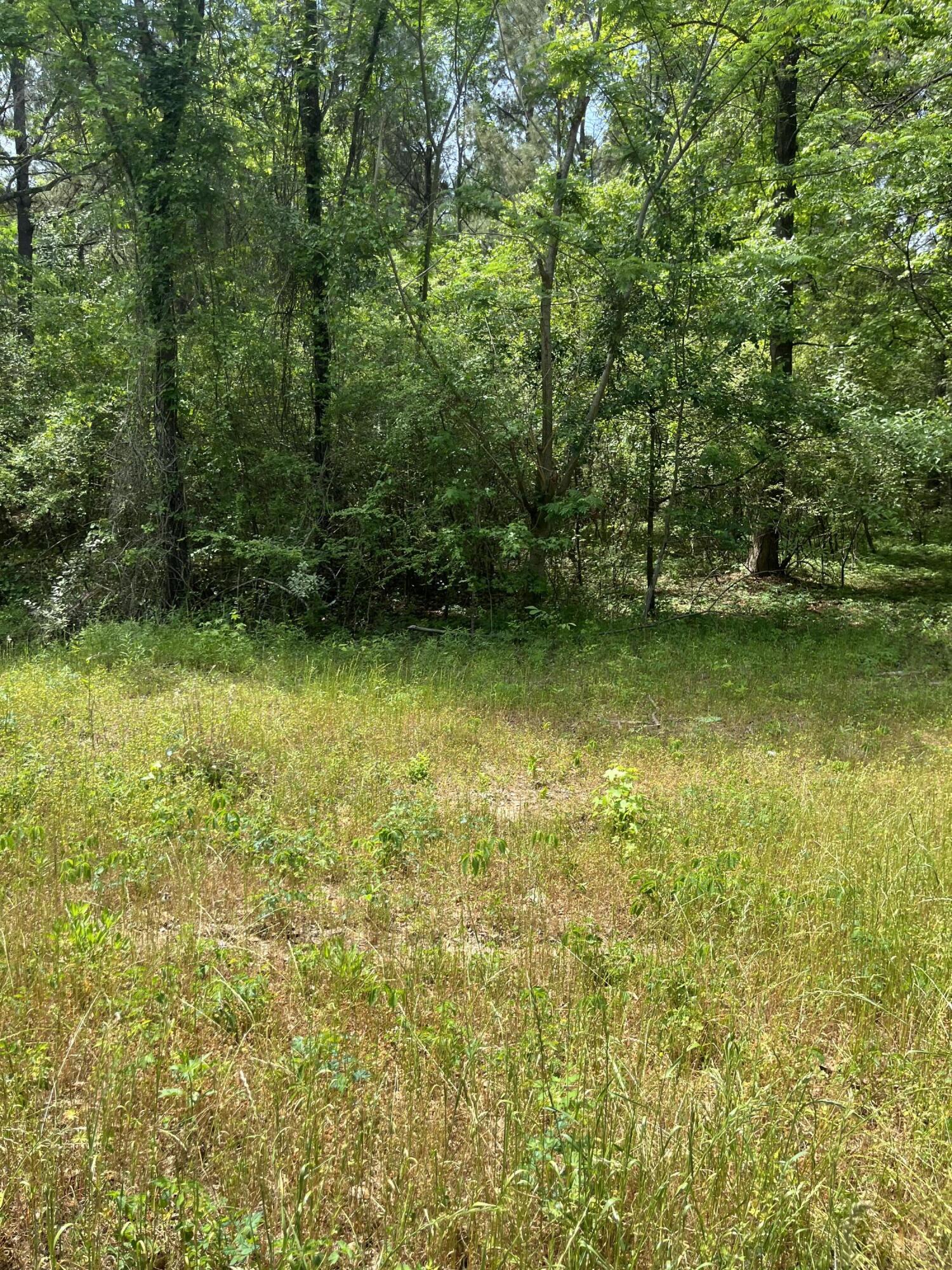 00 S Michelle Street