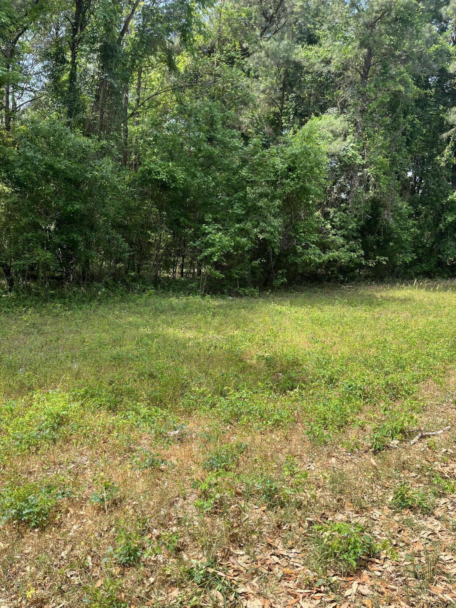 00 S Michelle Street