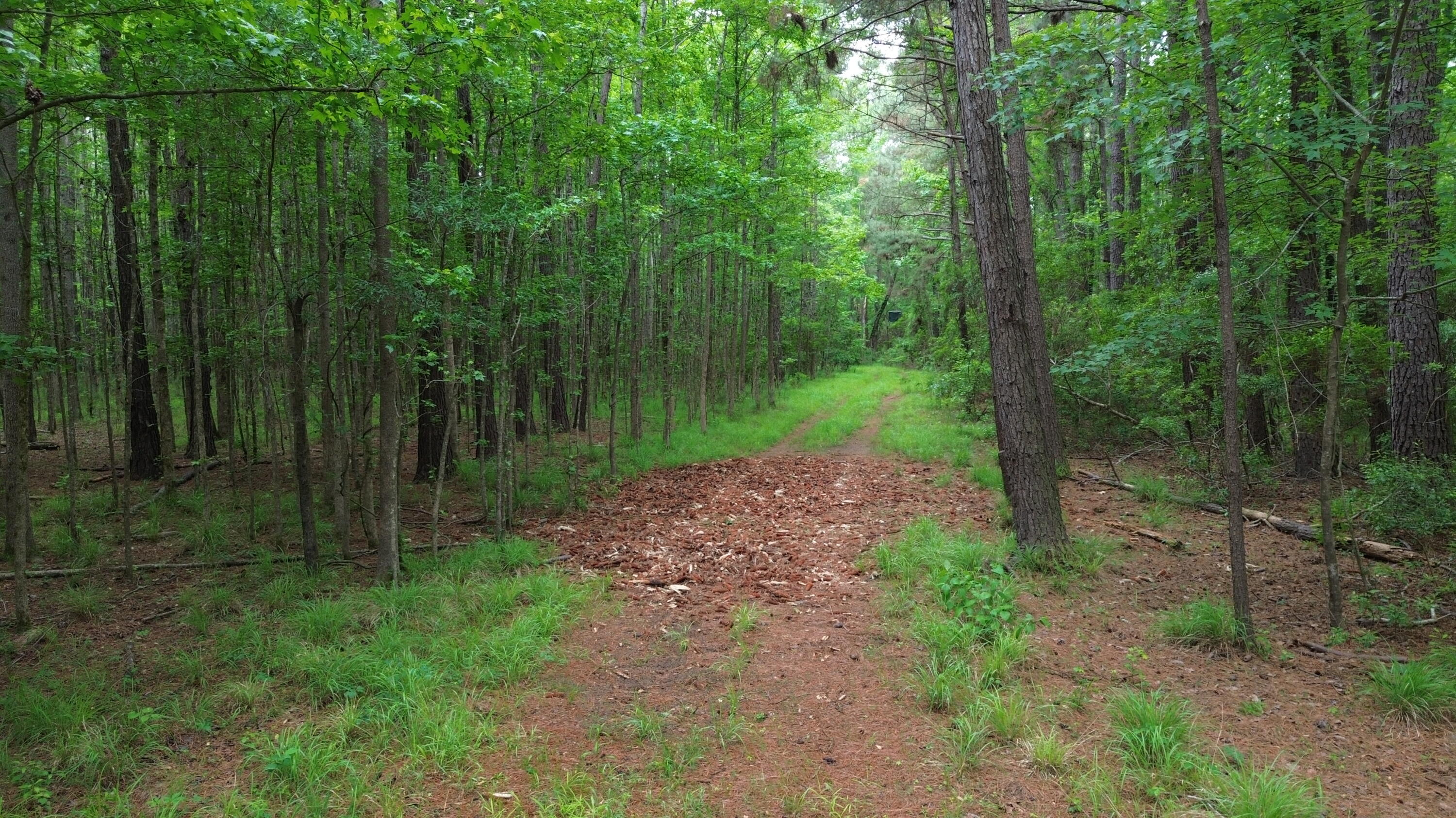 0 Pineview Farm Road
