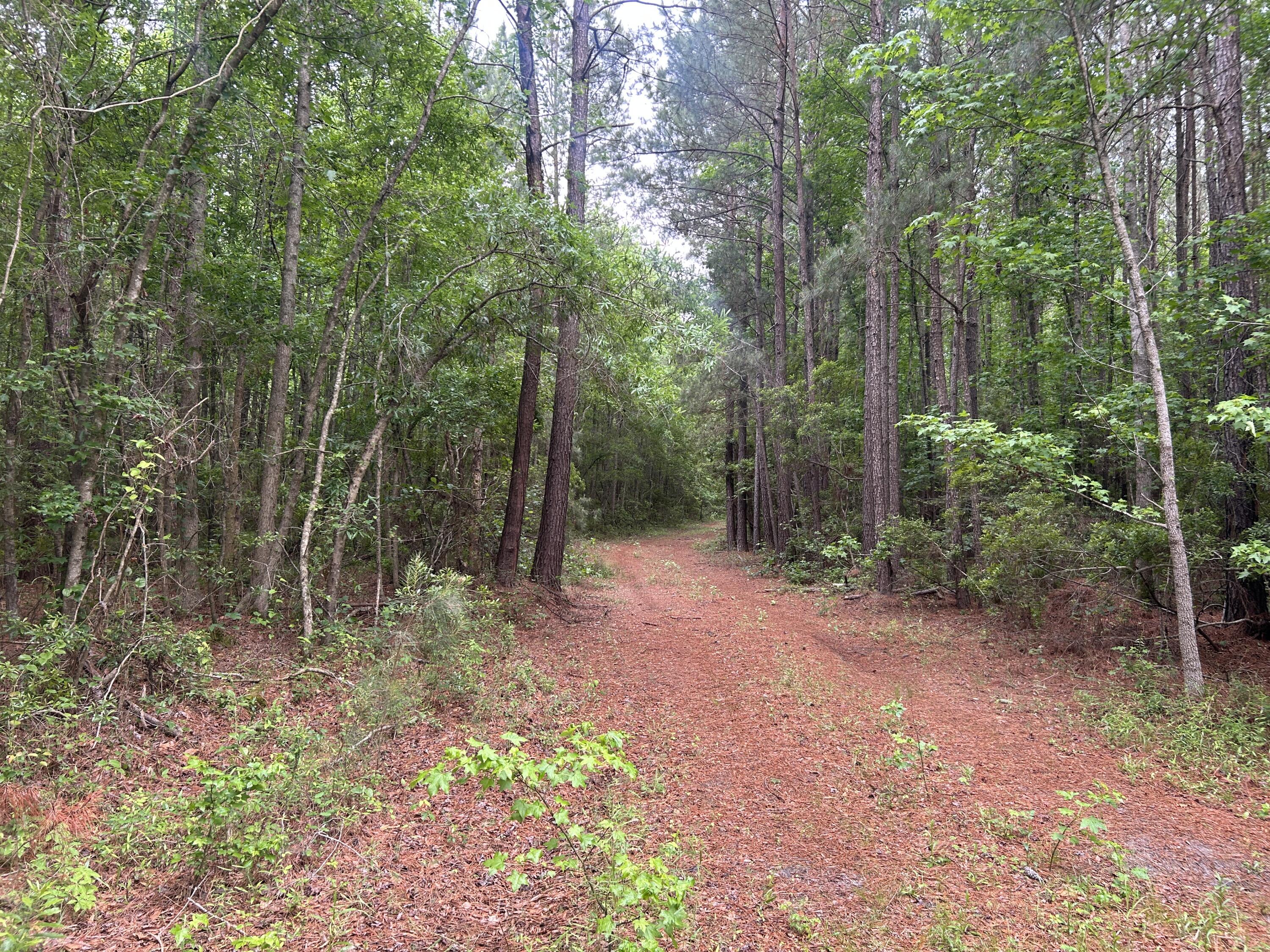 0 Pineview Farm Road